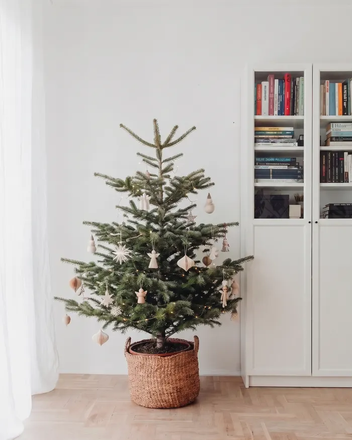 Nordmanntanne im geflochtenen Korb mit hellem Papierschmuck neben einem Bücherregal