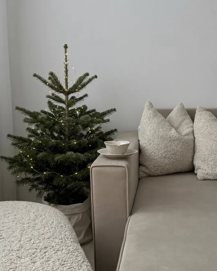 Nordmanntanne mit feiner Lichterkette neben einem hellen Sofa