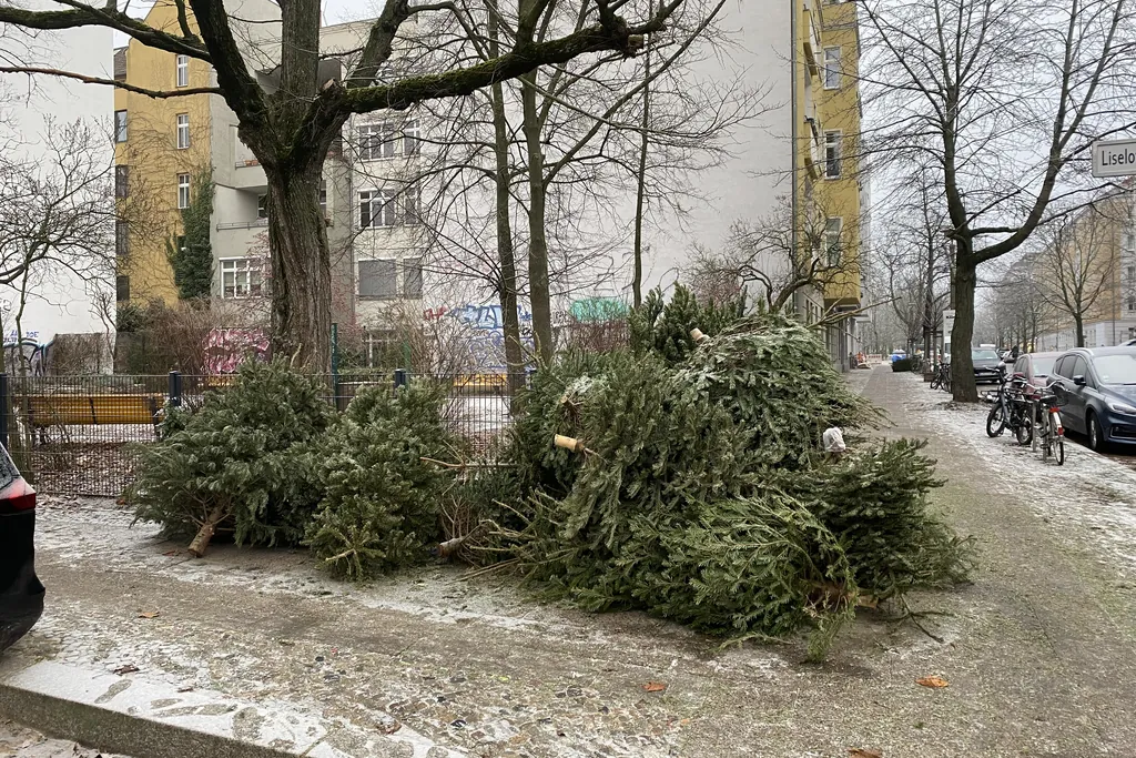 Nach Weihnachten weggeworfene Weihnachtsbäume auf einem verschneiten Gehweg in Berlin