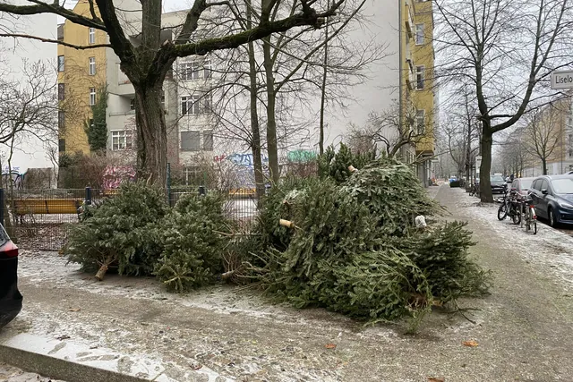 Nach Weihnachten weggeworfene Weihnachtsbäume auf einem verschneiten Gehweg in Berlin
