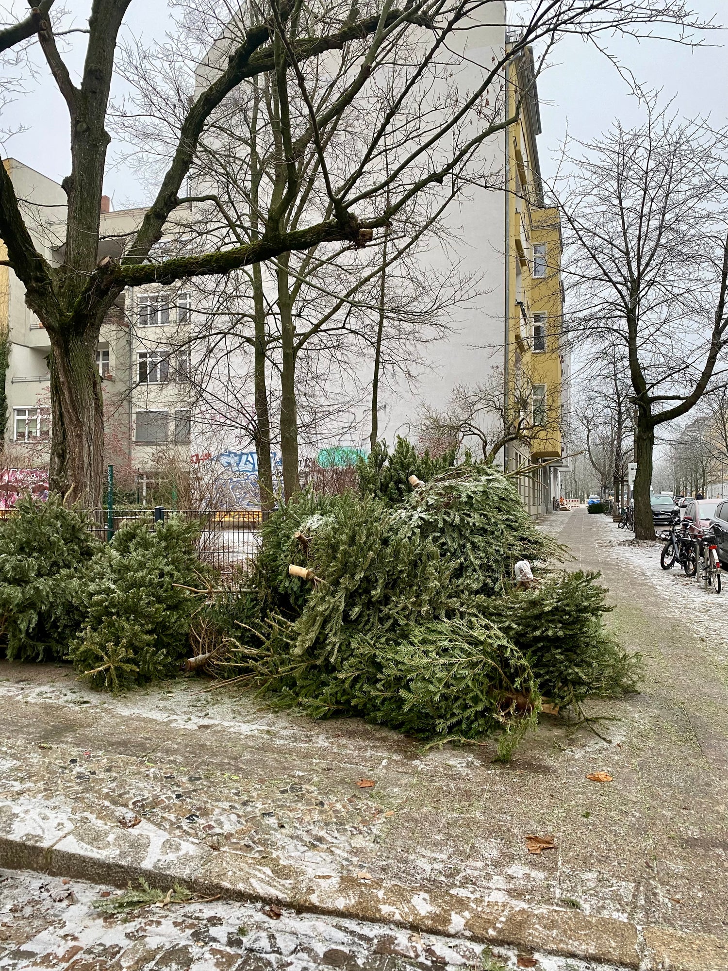 Weihnachtsbaum Mieten Berlin