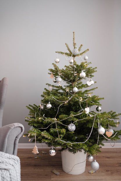 Weihnachtsbaum im Topf Mieten in Berlin - Nordmanntanne geschmückt im Wohnzimmer